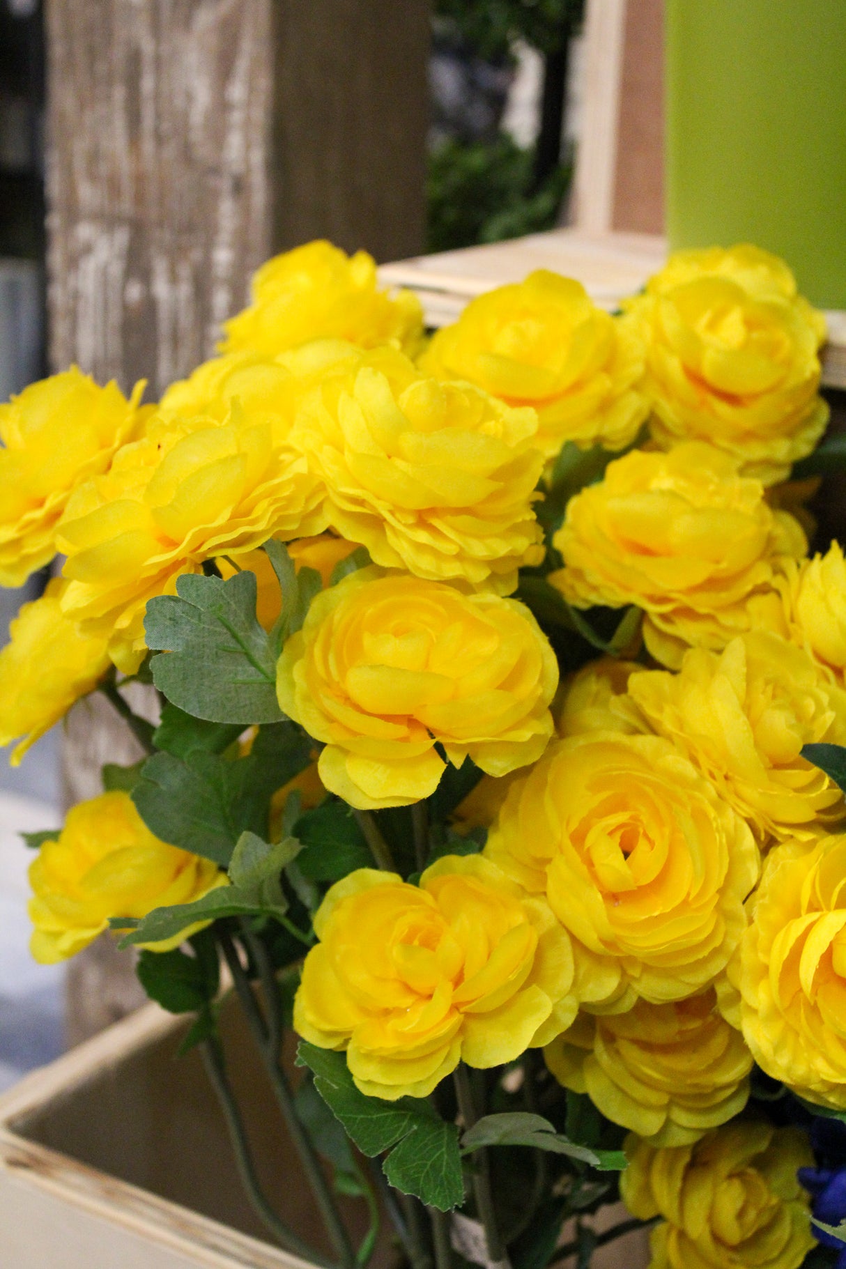 Gold Ranunculus Bush