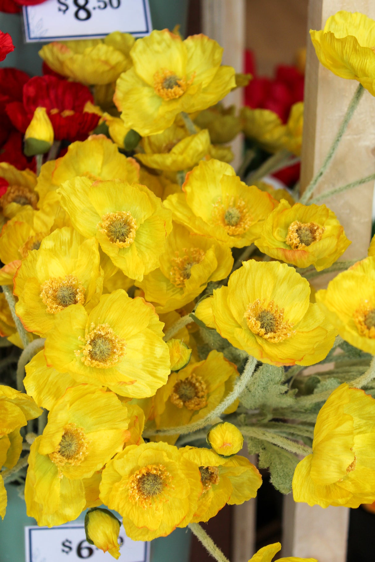 Yellow Poppy Spray