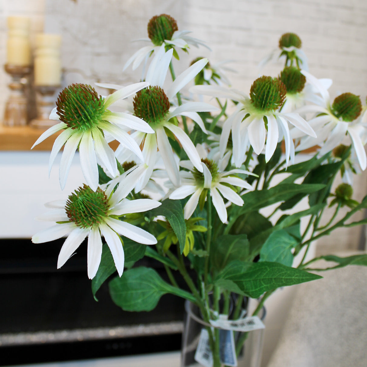 White Echinacea Spray