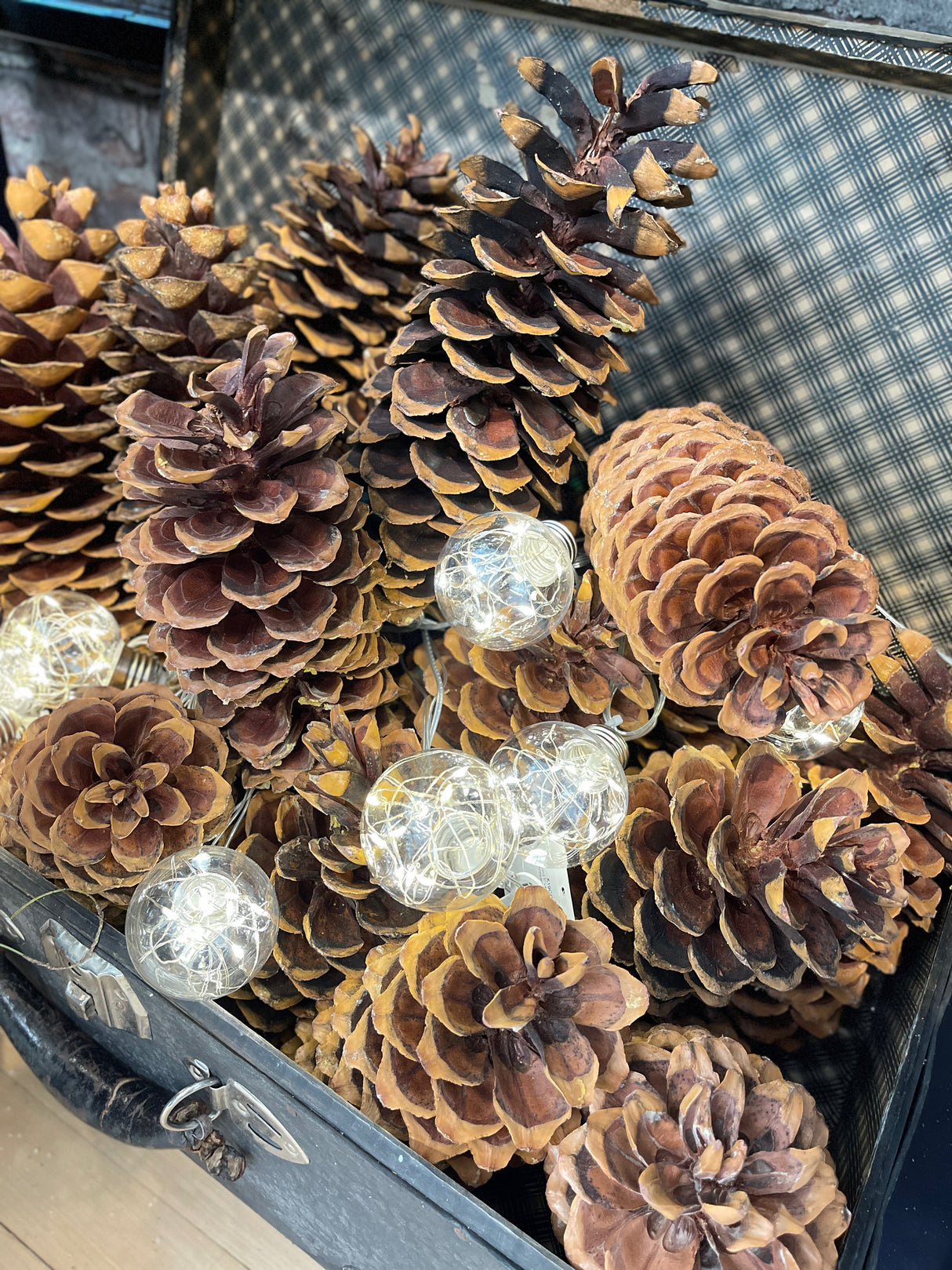 Large Sugar Pinecone
