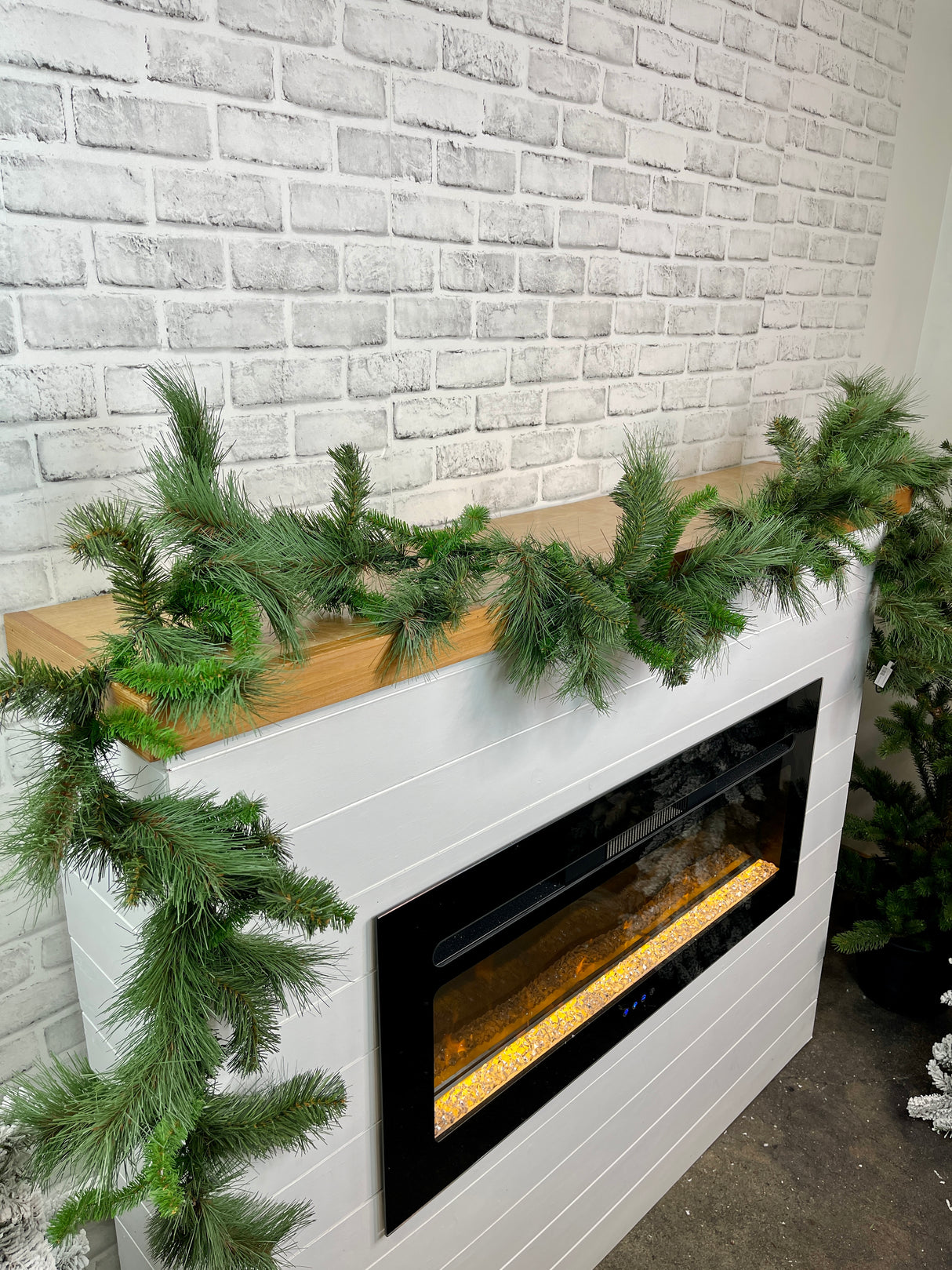 9'x12" Mixed Himalayan Pine Garland