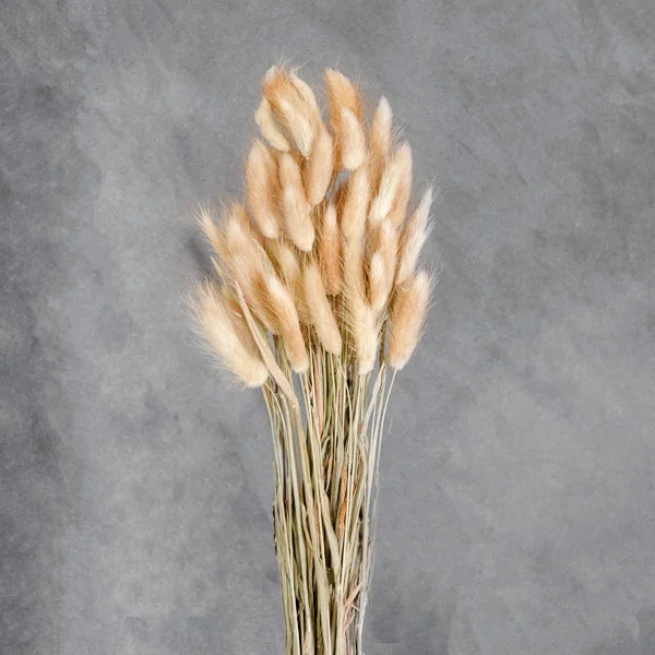 Natural Rabbit Tail Bundle