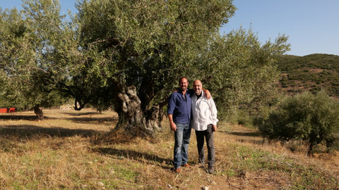 Premium Greek Olive Oil At Magnolias