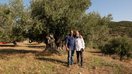 Premium Greek Olive Oil At Magnolias