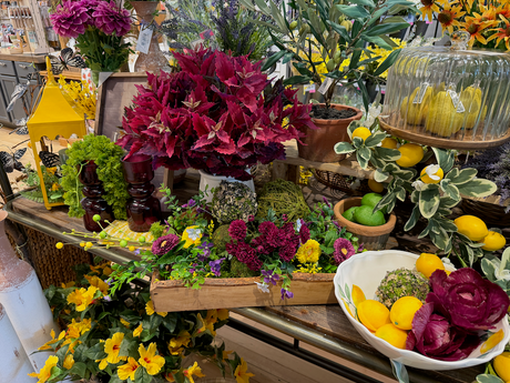 Provence Summer Collection