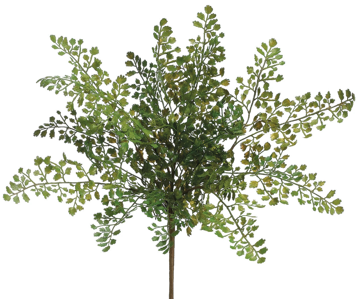 Everyday Single Stems