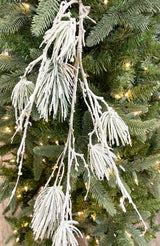 Winter Cozy Pine Branch