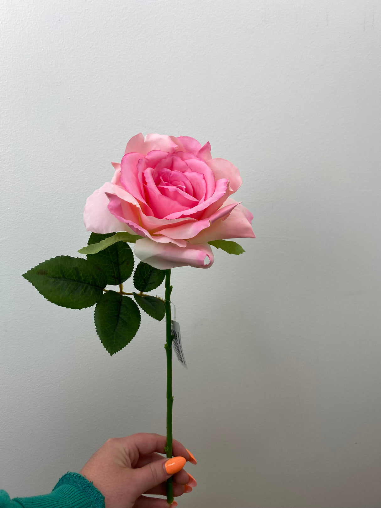 Blossom Pink Rose Stem