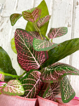 28" Cheery Cottage Swag