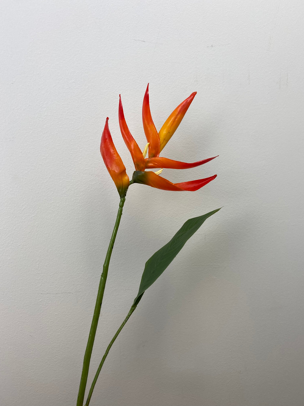 Orange Mini Heliconia Spray