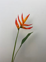Orange Mini Heliconia Spray