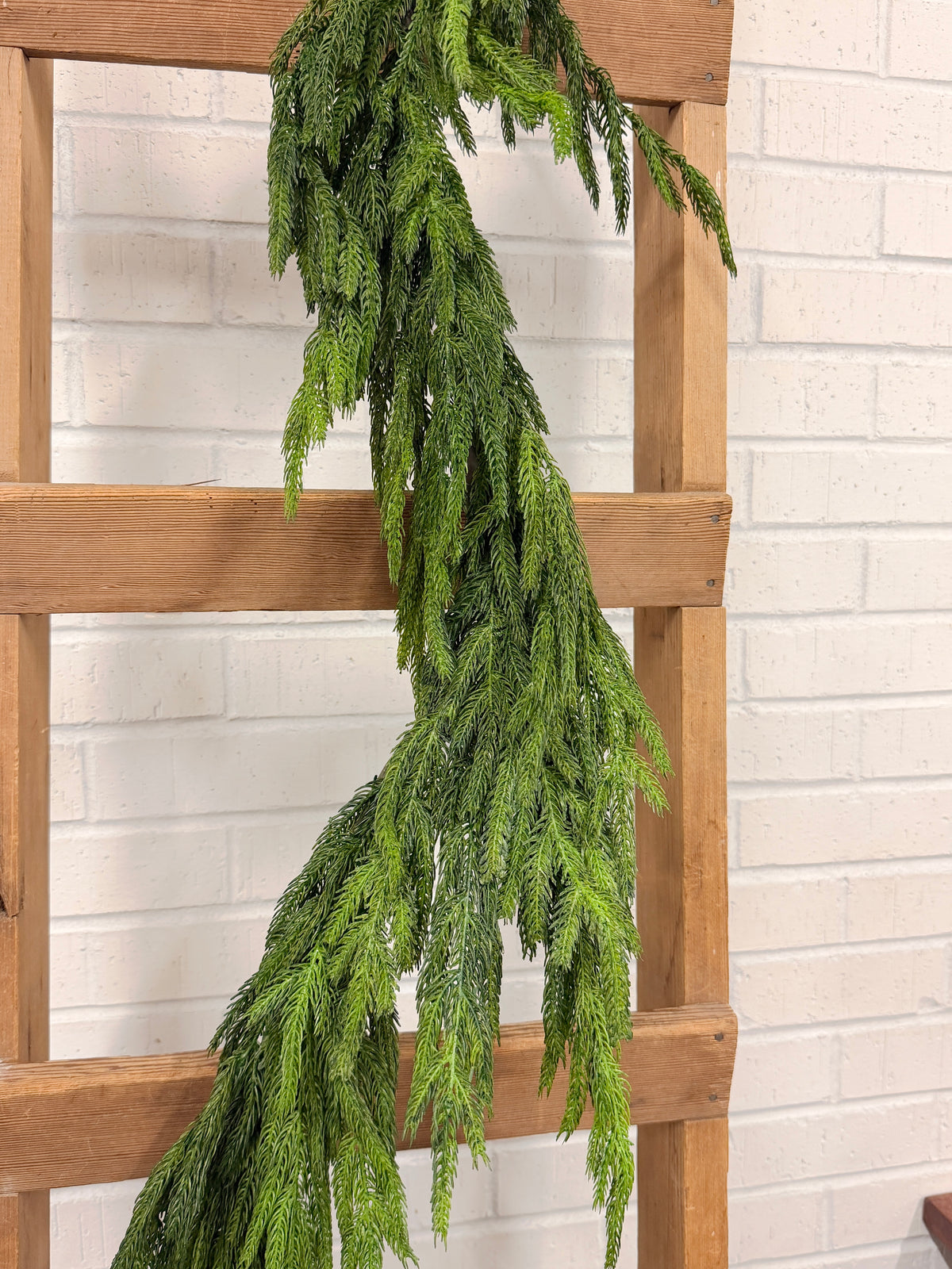 5' Real Touch Norfolk Pine Garland