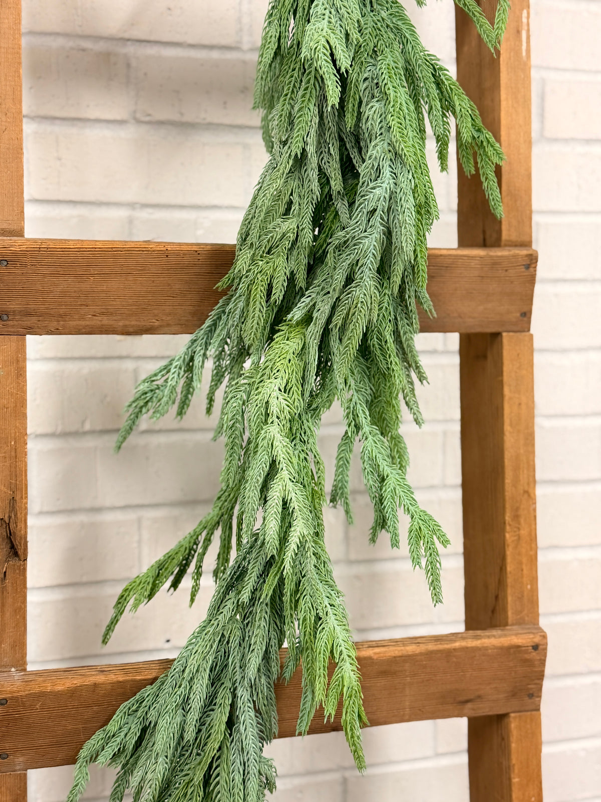 60" Sage Real Touch Norfolk Pine Garland