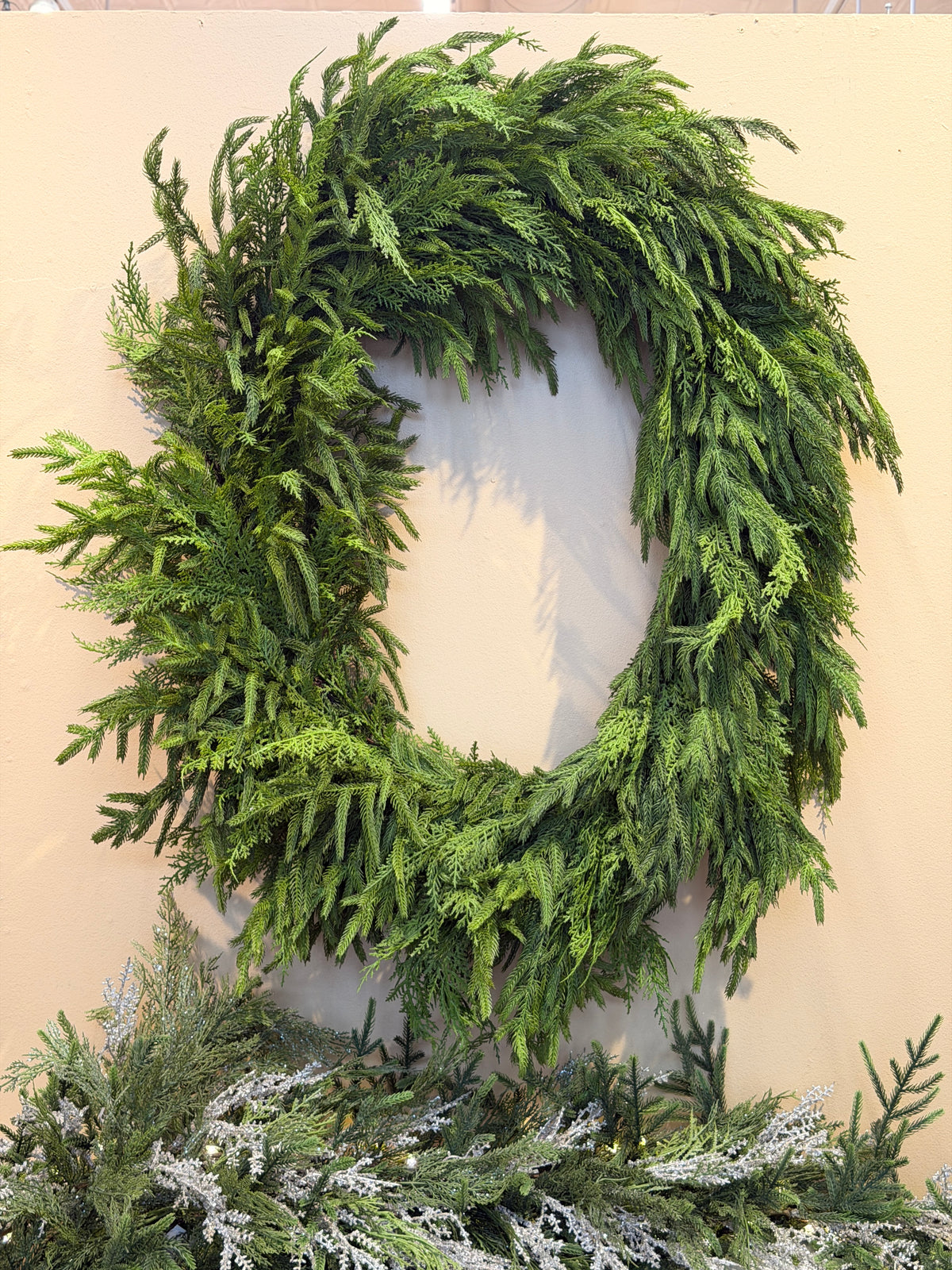 36" Real Touch Cedar & Norfolk Pine Wreath