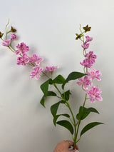 Nova Pink Jasmine Spray