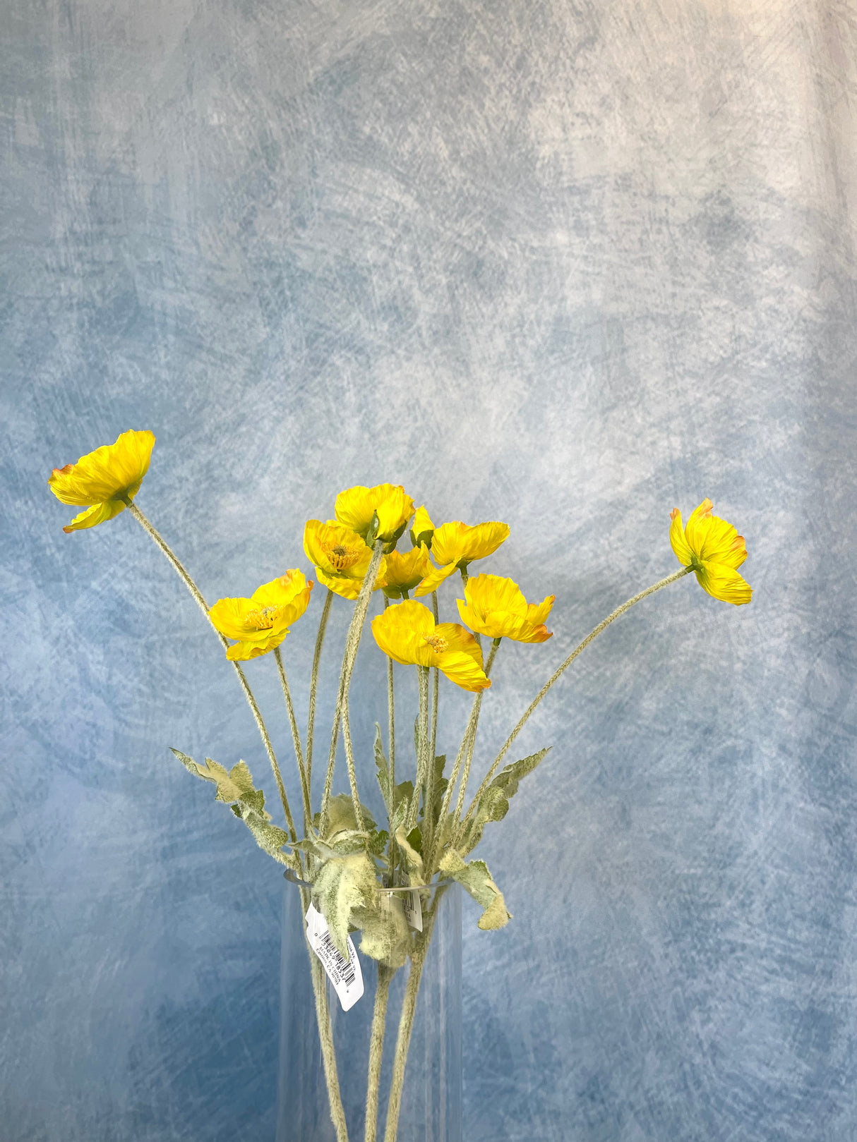 Yellow Poppy Spray