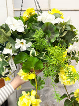26" Warm Sunshine Hanging Basket