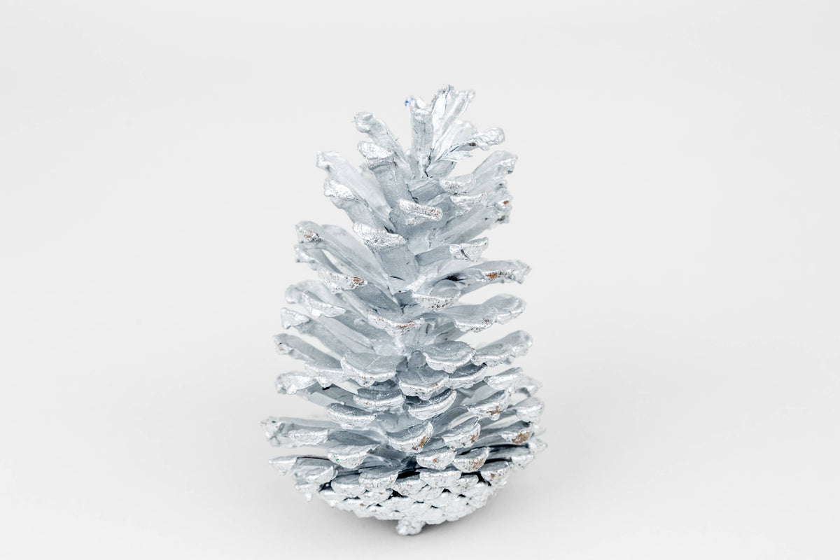 Metallic Silver Painted Longleaf Pinecones - 6-9 Inches tall