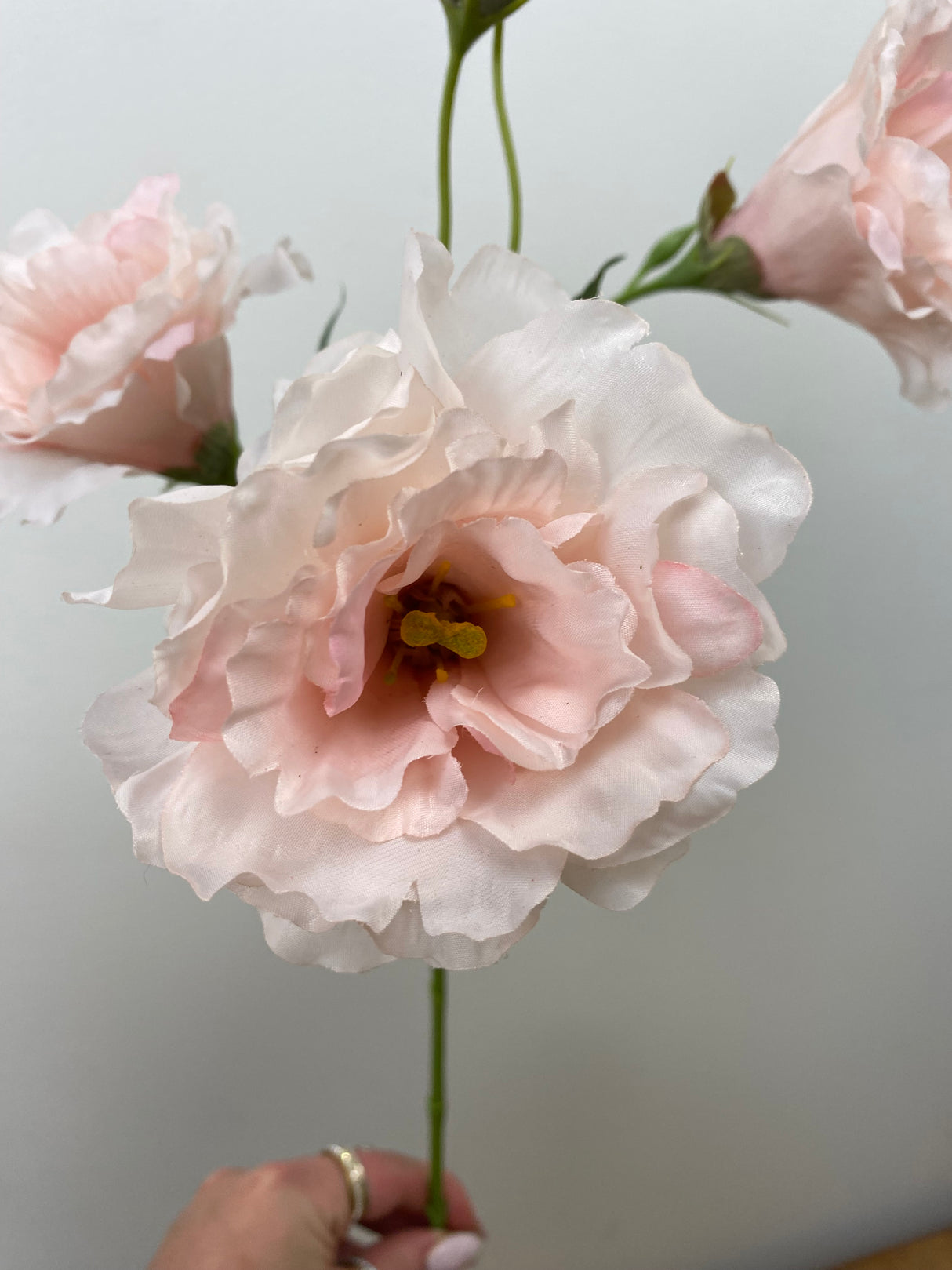 Soft Pink Lisianthus Spray