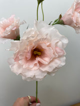 Soft Pink Lisianthus Spray