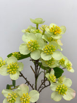 Green Dogwood Spray