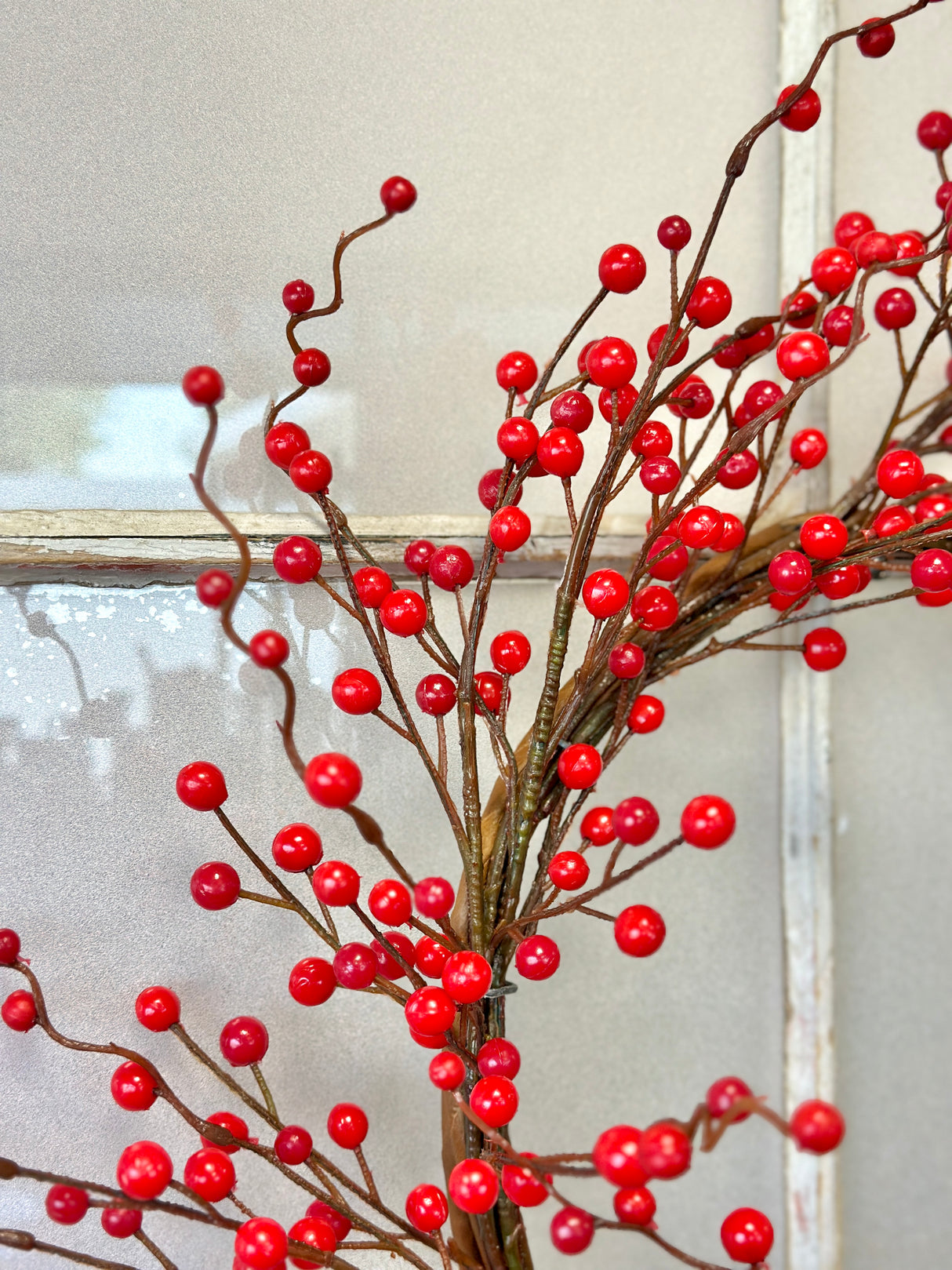 20" Filled With Wonder Berry Wreath