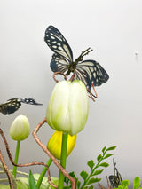 20" Butterfly Kiss Drop-In