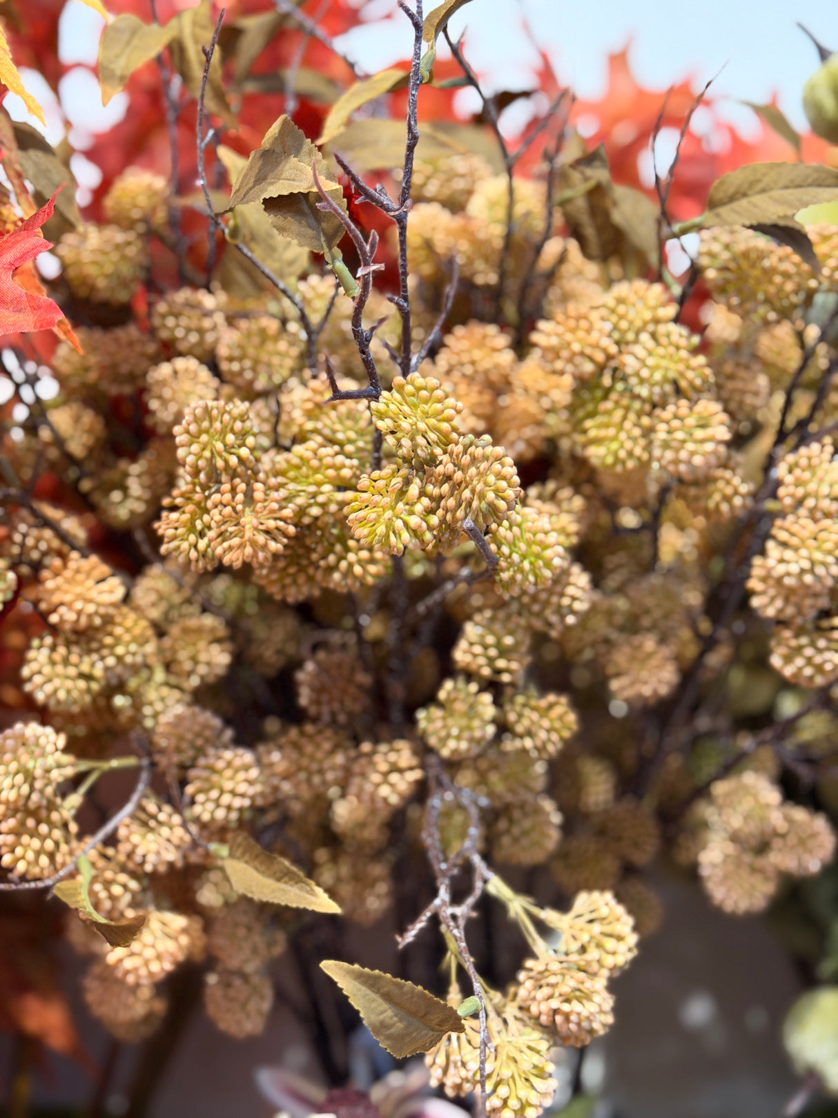 Gold Pearl Fruit Branch