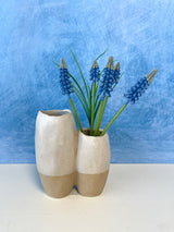 Blue Muscari Bundle