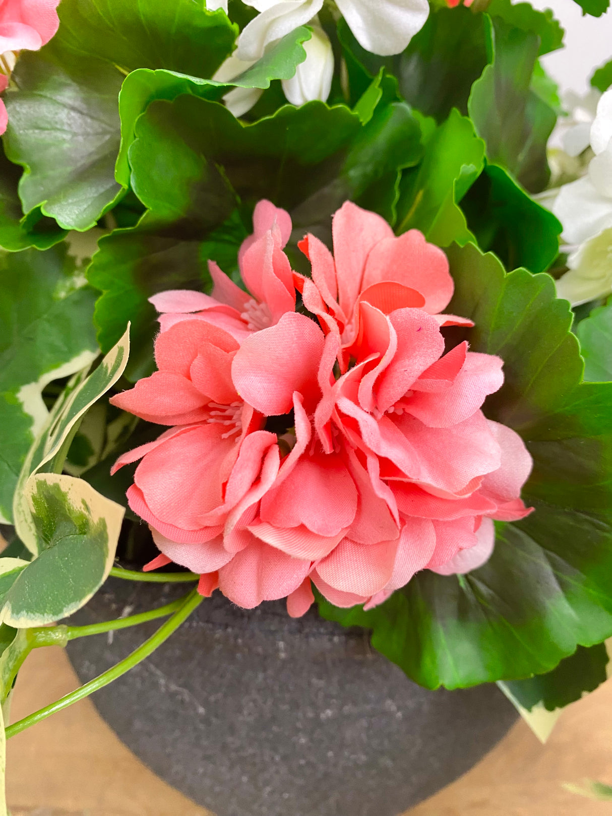 17" UV Protect Coral and White Geranium Pot-Filler