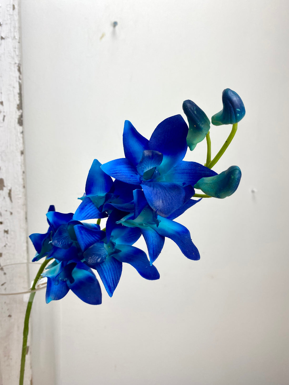 Real Touch Dendrobium Orchid Stem