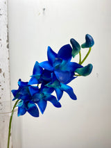 Real Touch Dendrobium Orchid Stem
