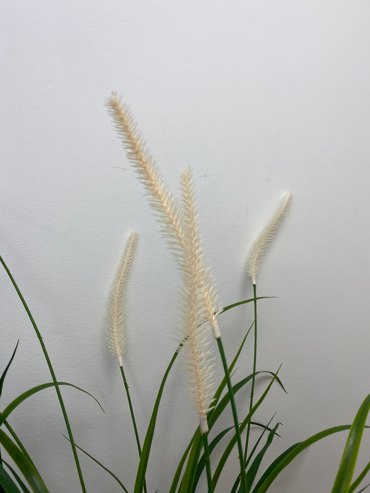 UV Protect Field Grass Bush