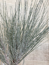 Snowy Long Needle Pine Spray
