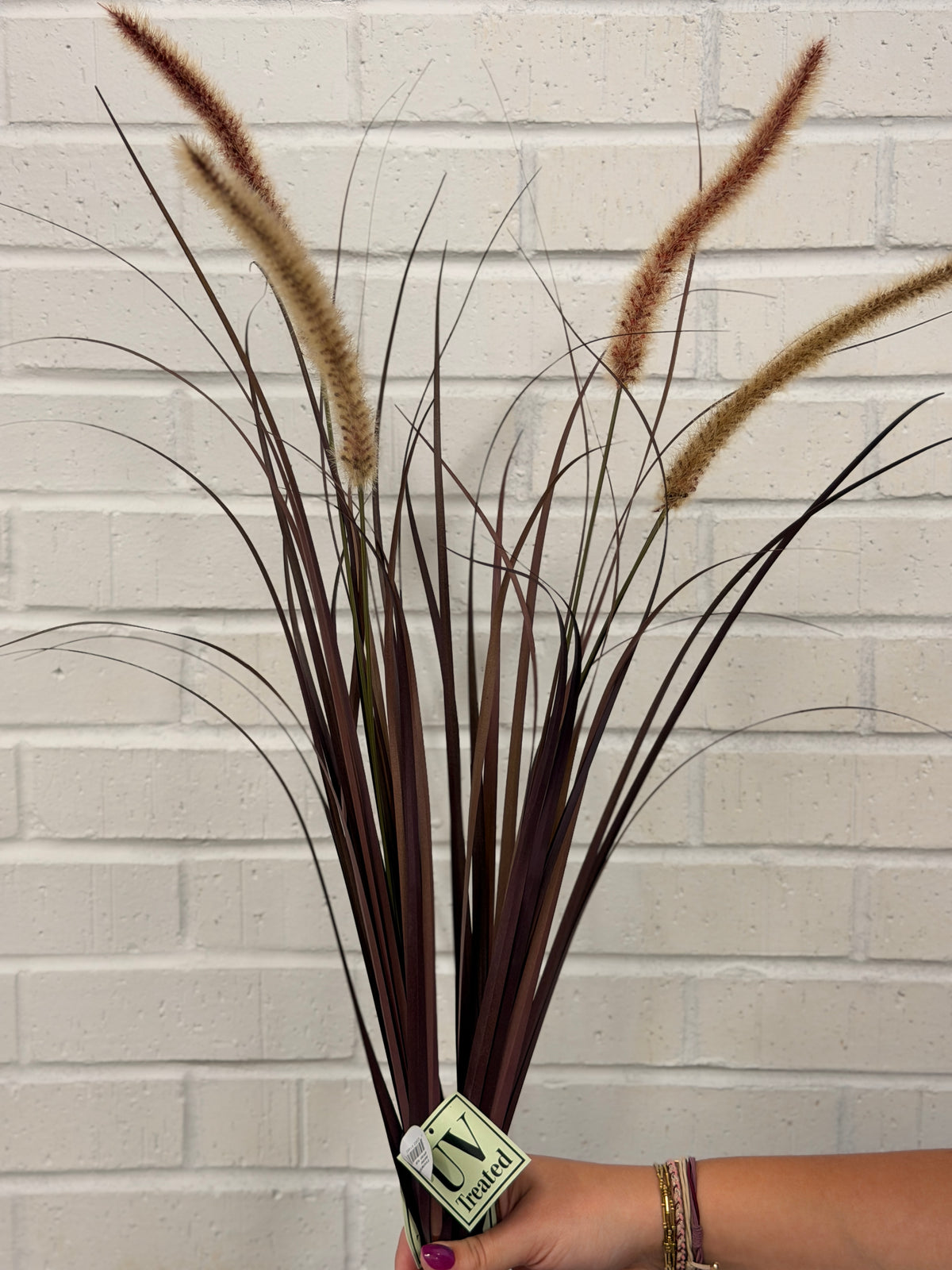UV Protect Plum Fountain Plume Grass Spray