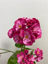 New Day Fuchsia Geranium Spray
