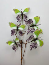 Green Purple Into the Field Butterfly Spray