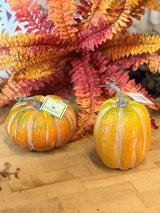 Orange & Green Vintage Farmstand Pumpkin - 2 Styles