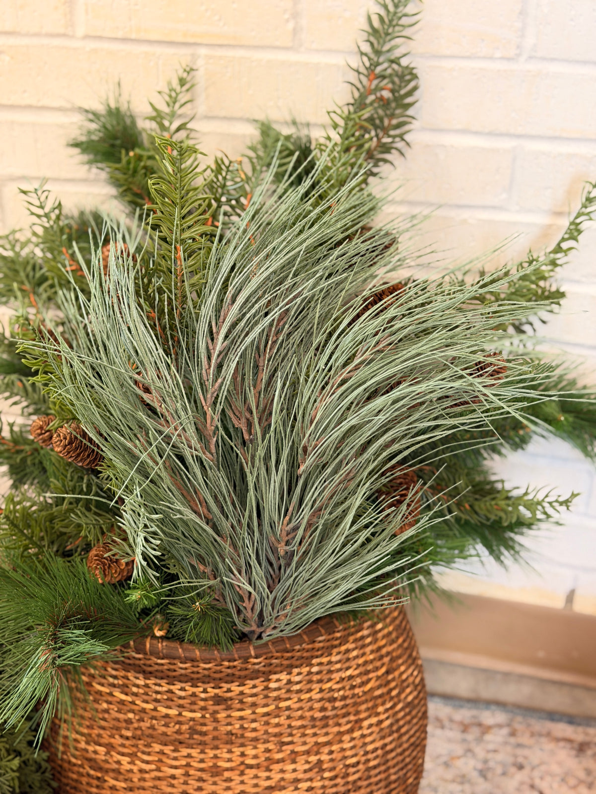 Gray Green Long Needle Pine Bundle