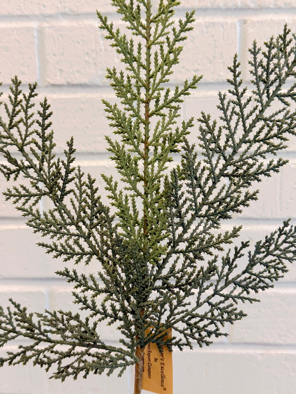 Astrid Cedar Spray