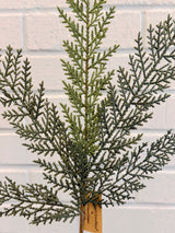 Astrid Cedar Spray