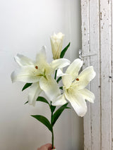 UV Protect White Tiger Lily Spray