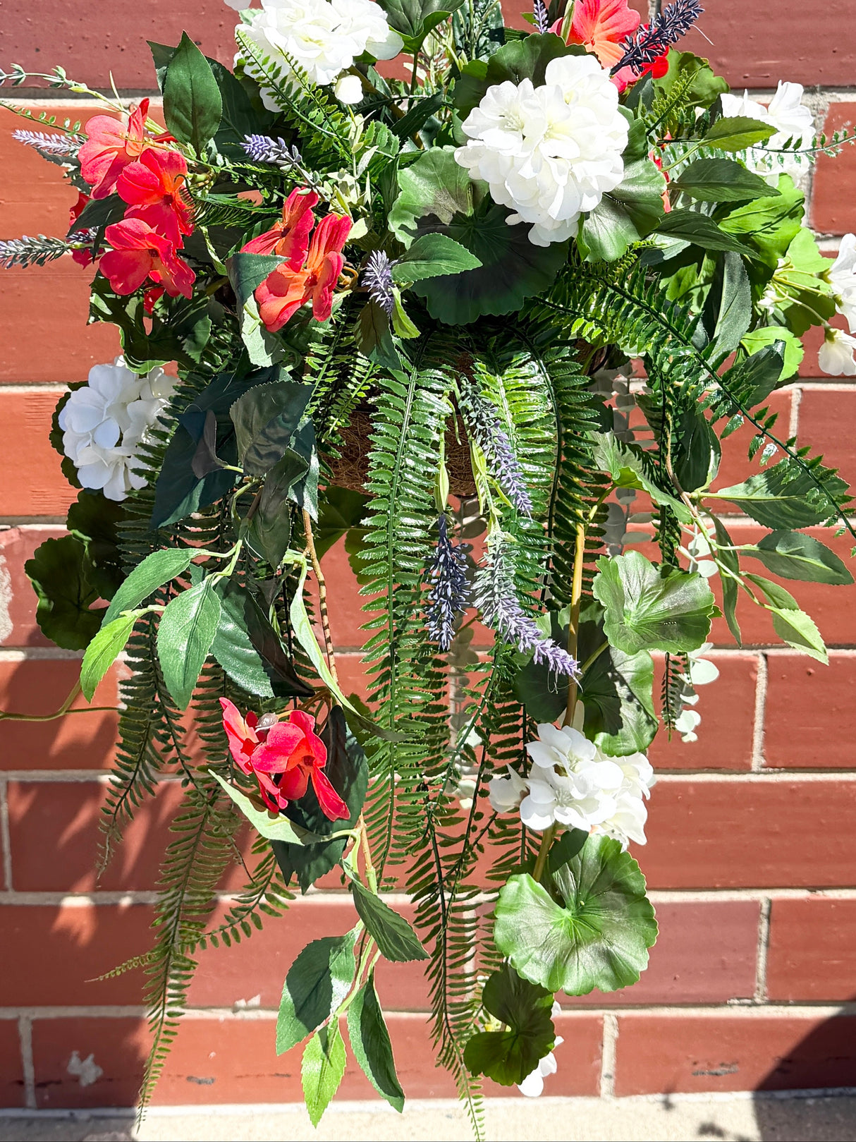 UV Protect Boston Fern Hanging Bush
