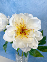 Cream Peony Spray