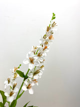 White Vinca Spray