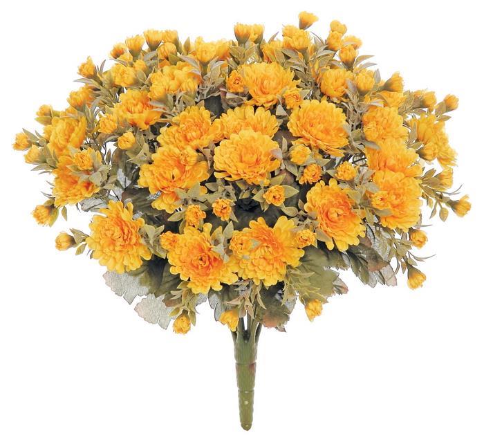 Gold Mum Bush