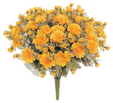 Gold Mum Bush