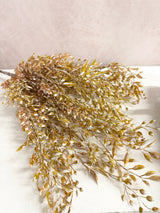 Ambermist Sage Bush