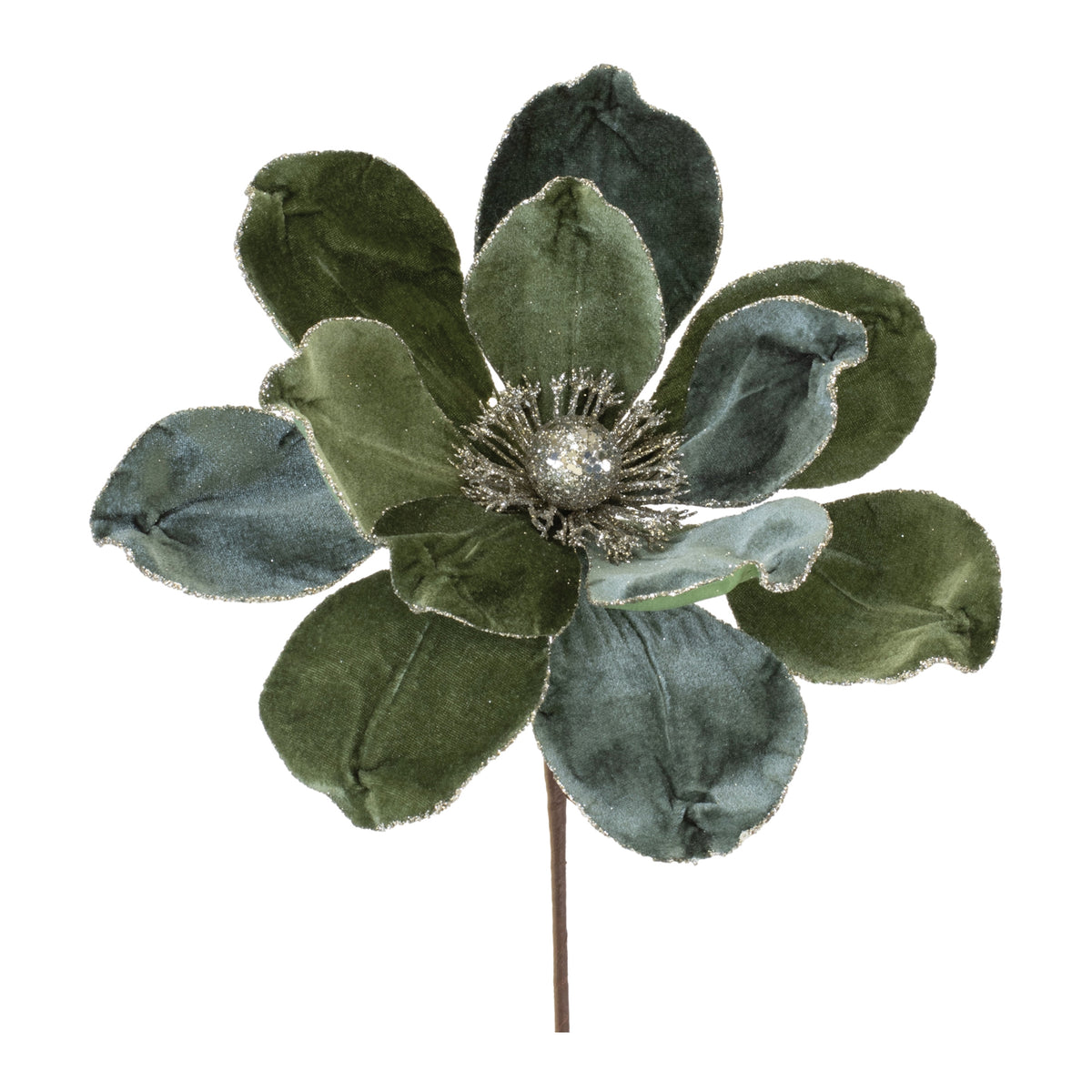 Magnolia Stem