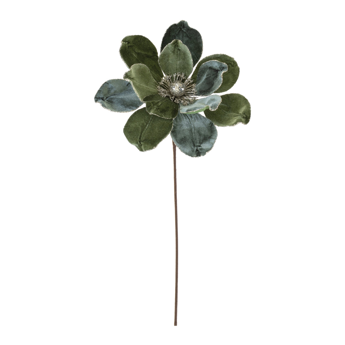Blue Green Magnolia Stem